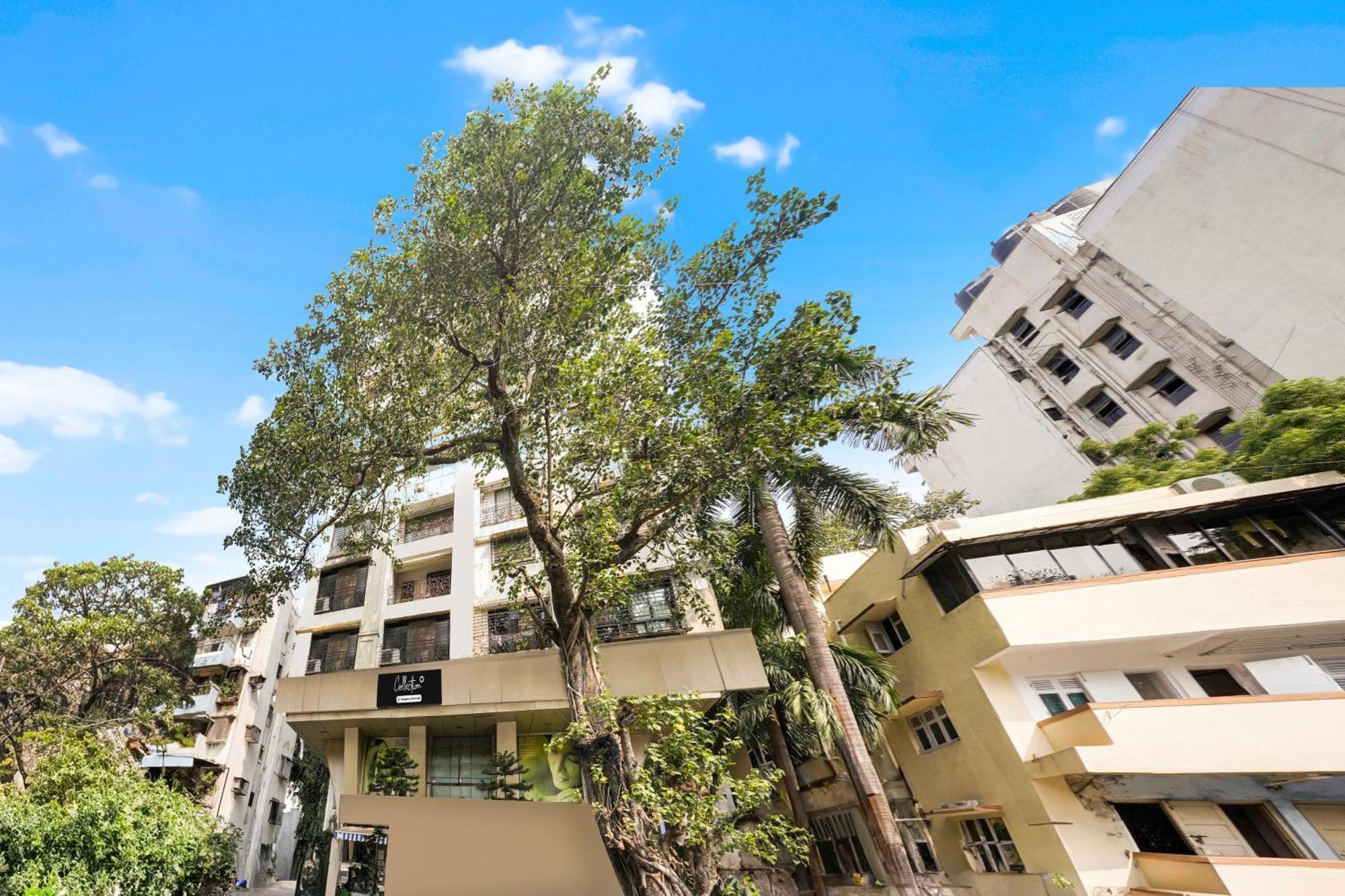 Hotel Super Collection O Parle Formerly Freedom Star 3*